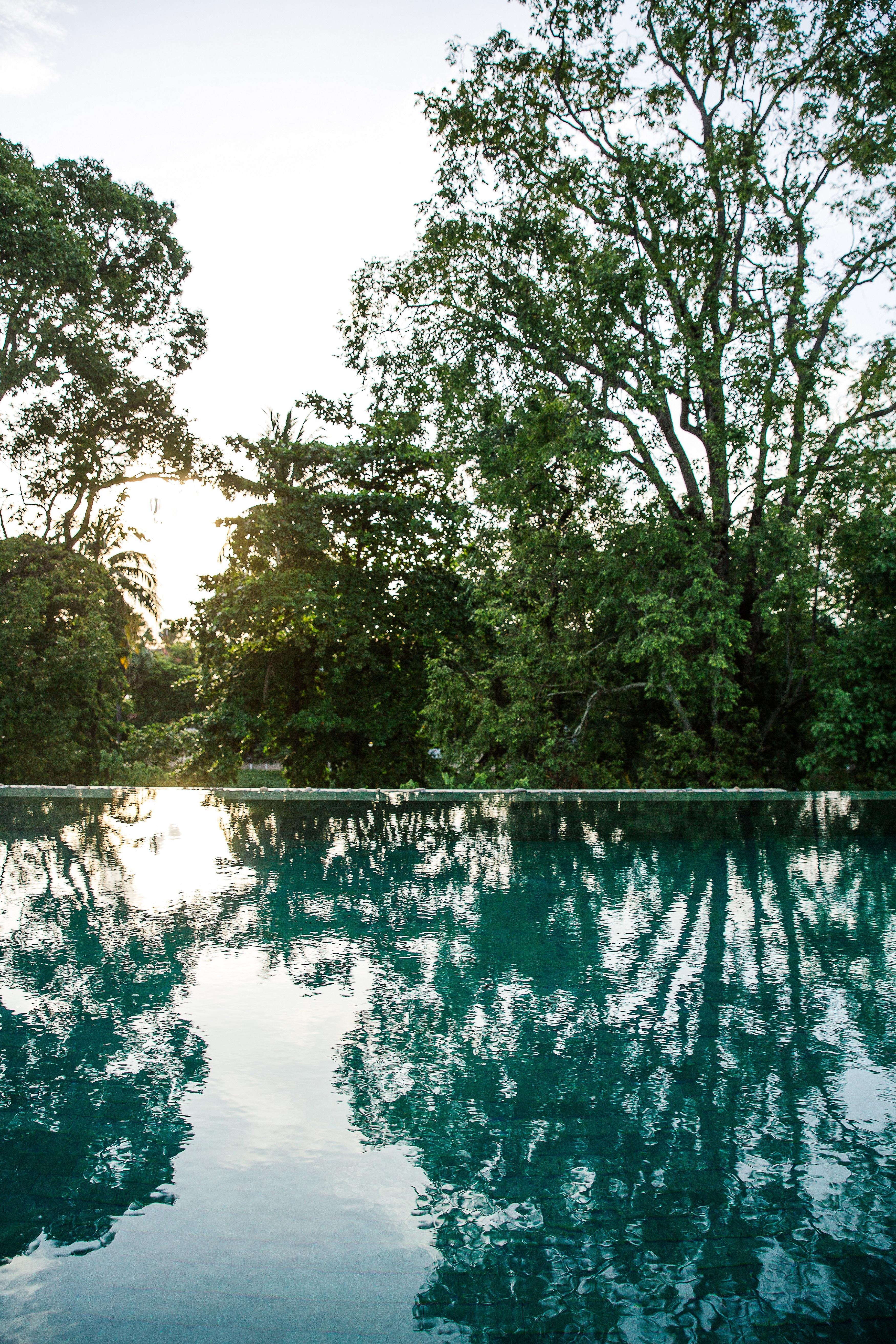 Treeline Urban Resort Siem Reap Ngoại thất bức ảnh